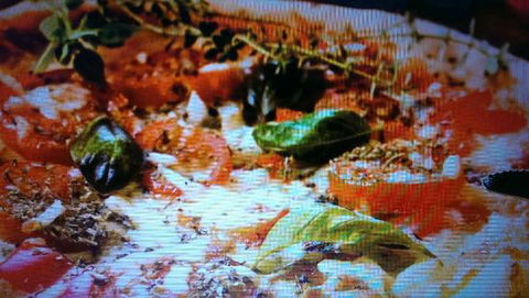 Alfio's Pizzeria - Accommodation Georgetown 0