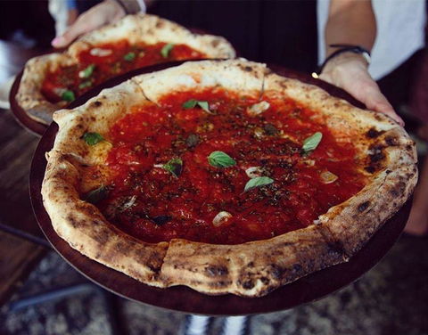 Gringos Fresh Mex - Accommodation Georgetown 8