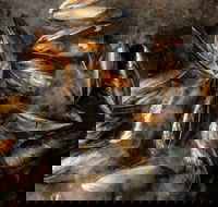 MoVida Next Door - Accommodation Georgetown