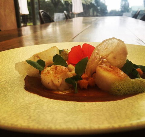 Au Pear - Accommodation Georgetown 8