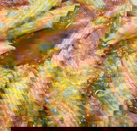 Jaspers Pizza  Pasta - Accommodation Georgetown