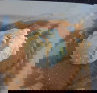 Rotunda In Williamstown - Accommodation Georgetown