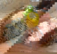 The Windy Mile - Accommodation Georgetown