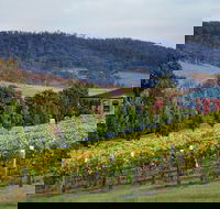 De Bortoli Winery  Restaurant - Accommodation Georgetown