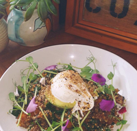 The Shak Organic Cafe  Wine Bar - Accommodation Georgetown