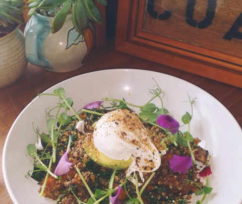 The Shak Organic Cafe & Wine Bar - Accommodation Georgetown 0