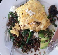 Prikly Pair Cafe - Accommodation Georgetown