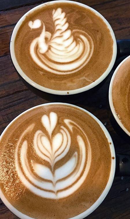 Cafe In Tokyo - Accommodation Georgetown 4