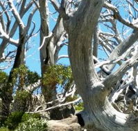 Alpine Eyre - Accommodation Georgetown