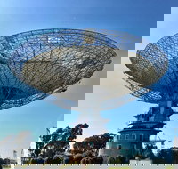 Dish Cafe - Accommodation Georgetown