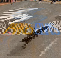 Wholesome Blend - Accommodation Georgetown