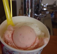Bermagui Gelati Clinic - Accommodation Georgetown