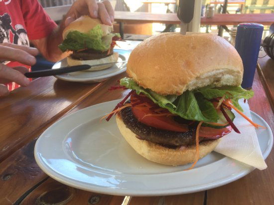 Pangee NSW Accommodation Georgetown