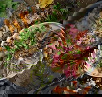 OlleyvilleShaw - Accommodation Georgetown