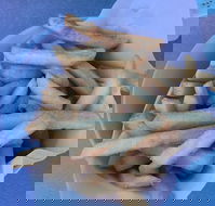 Kippy's - Accommodation Georgetown