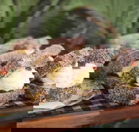 Parmi Bandit - Accommodation Georgetown