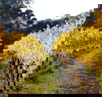 Prickly Moses Brewery - Accommodation Georgetown