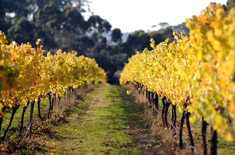 Prickly Moses Brewery - Accommodation Georgetown 0