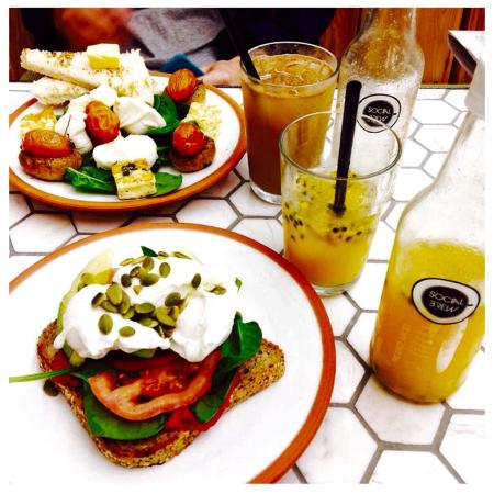 Social Brew Burleigh - Accommodation Georgetown 0