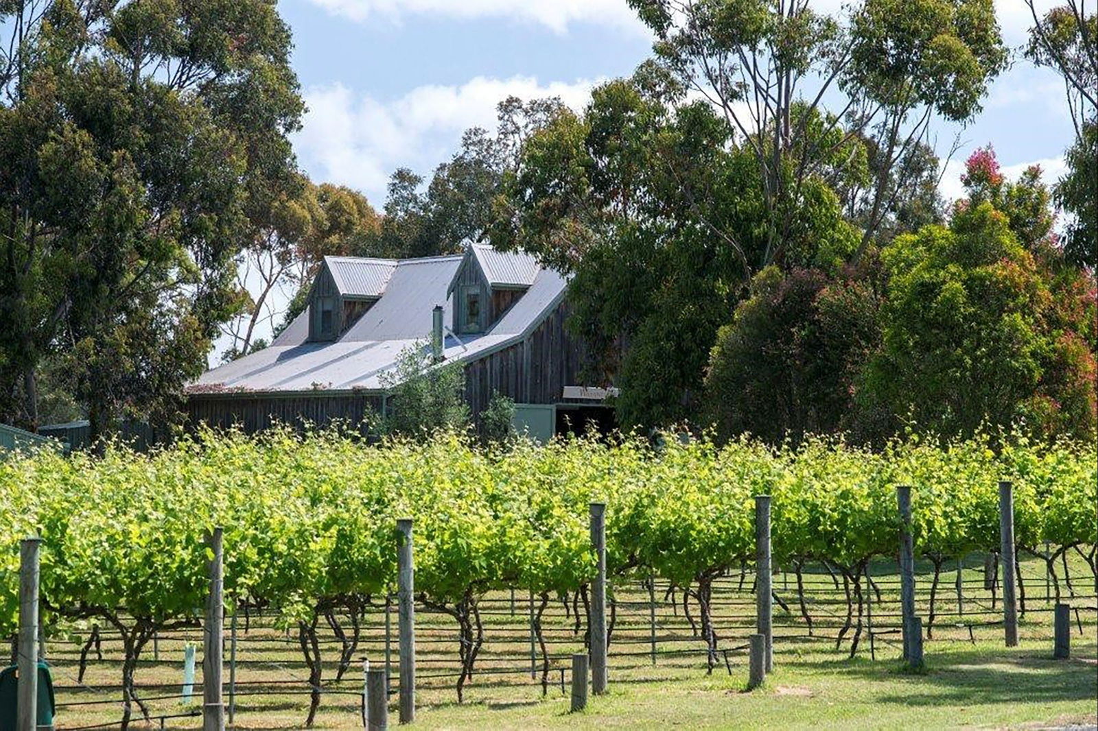  Accommodation Georgetown