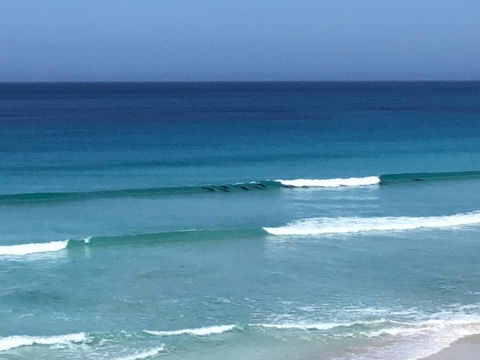 Beach Barista - Accommodation Georgetown 1