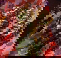 Cantina On Capri - Accommodation Georgetown