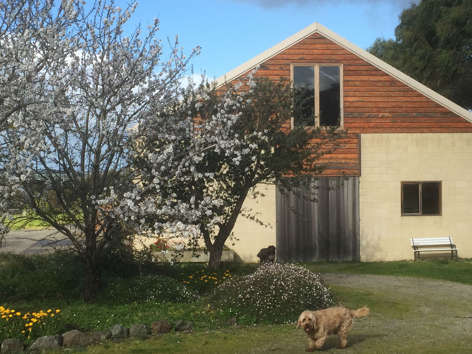 Drysdale VIC Accommodation Georgetown