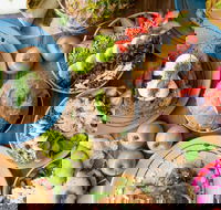 Raw Energy - Sippy Downs - Accommodation Georgetown