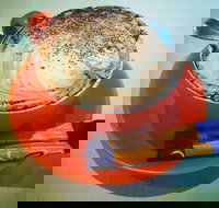 Phillips  Co - Accommodation Georgetown