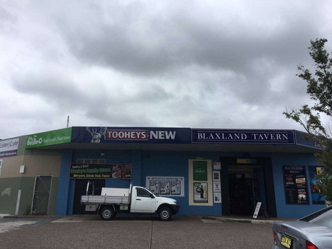 Blaxland Tavern - Accommodation Georgetown 0
