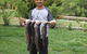 Eucumbene Trout Farm - thumb 1