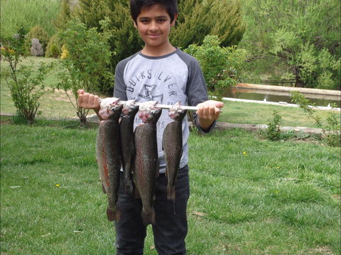 Eucumbene Trout Farm - Accommodation Georgetown 1