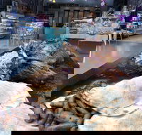 Grandpas Lebanese Food - Accommodation Georgetown