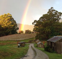 Hartzview Vineyard - Accommodation Georgetown