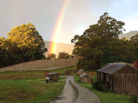 Hartzview Vineyard - Accommodation Georgetown 0