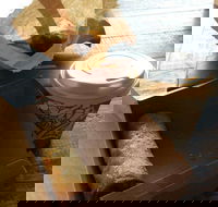 Kunara Organic Cafe - Accommodation Georgetown