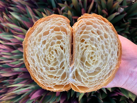 La Bouche - Accommodation Georgetown 0