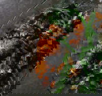 Shukah - Accommodation Georgetown