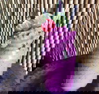 Jungle - Accommodation Georgetown