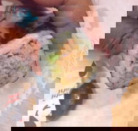 Sebastian's Food  Wine - Accommodation Georgetown