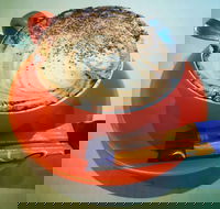 Arthur Radley - Accommodation Georgetown