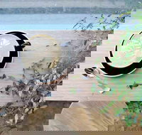 Glasshouse Hampton - Accommodation Georgetown