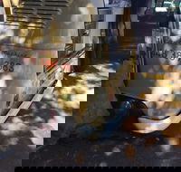 Kombi Koffein - Accommodation Georgetown