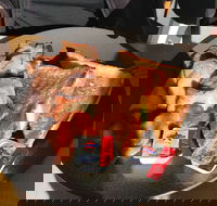 Rainbow Bay SLSC - Accommodation Georgetown