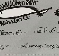 Williamstown Mussels - Accommodation Georgetown