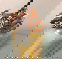 Where Ya Bean - Accommodation Georgetown