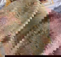 Zaika Tandoor - Accommodation Georgetown