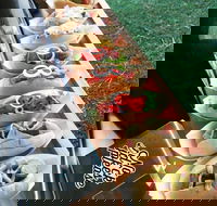 Balter Brewing Company - Accommodation Georgetown