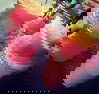 Fresh Garden Cafe - Accommodation Georgetown