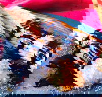 Donut King - Taylors Lakes - Accommodation Georgetown